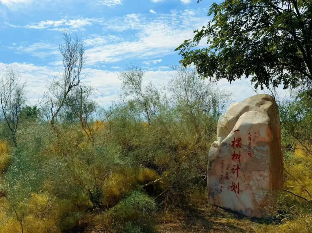 微信图片_2025-12-03_140124_011.jpg