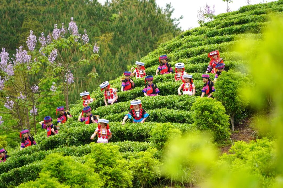 恭城油茶:人间烟火 舌尖非遗