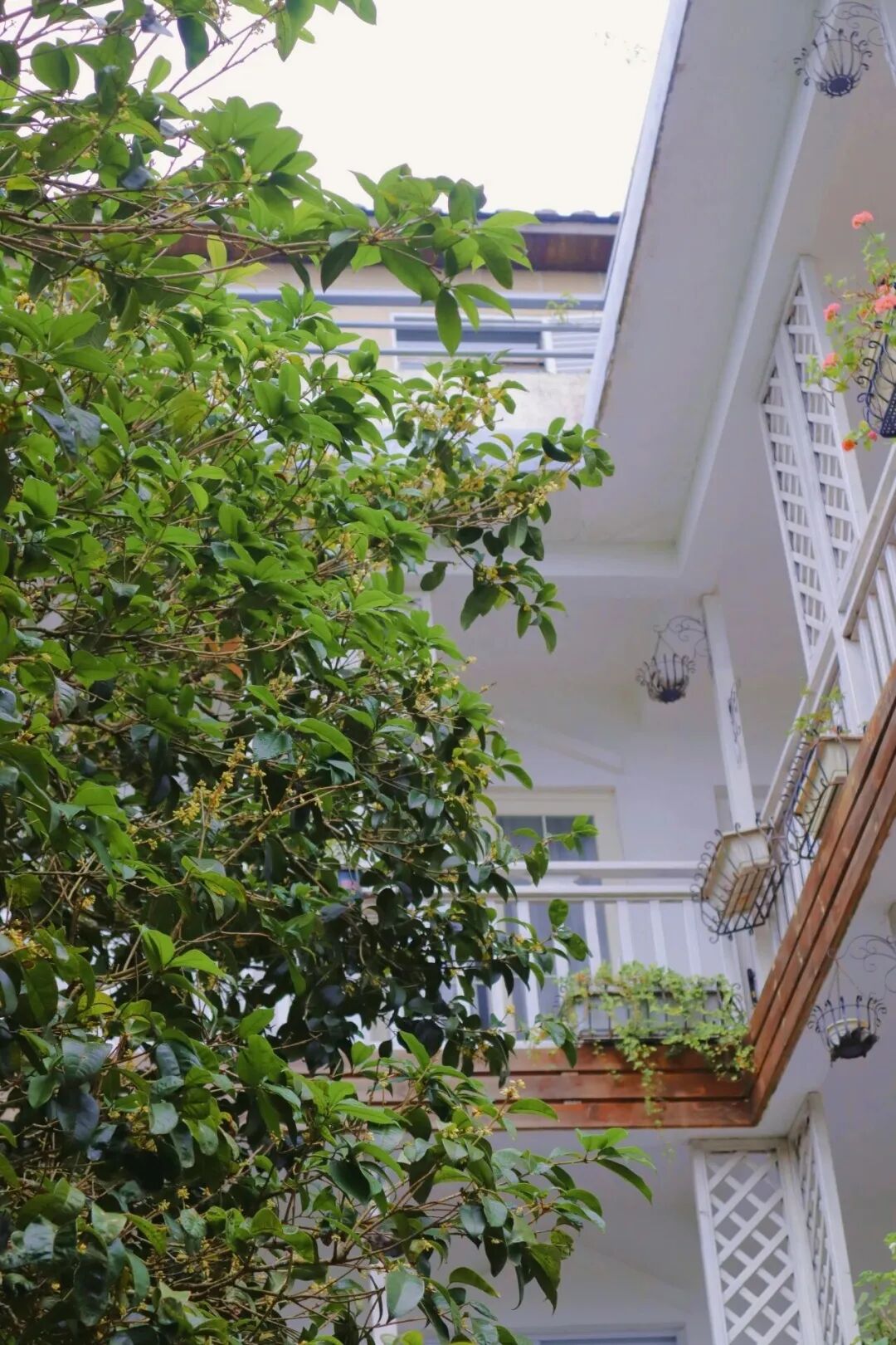 你闻到了吗？台江这些地方好香！