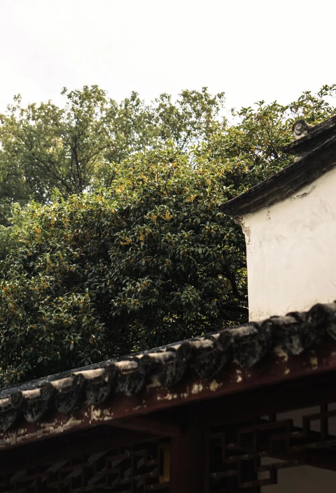 你闻到了吗？台江这些地方好香！