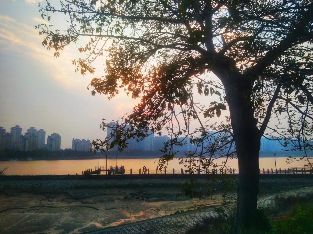 你闻到了吗？台江这些地方好香！