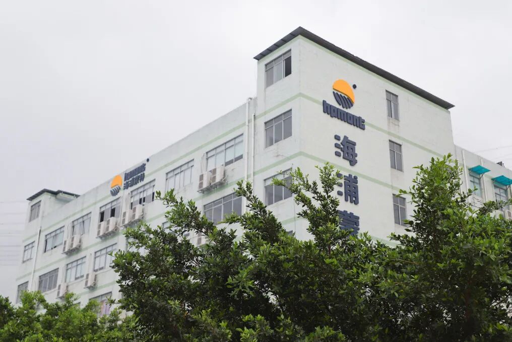 深圳市专精特新中小企业名单_专精特新认定标准解读_深圳专精特新认定