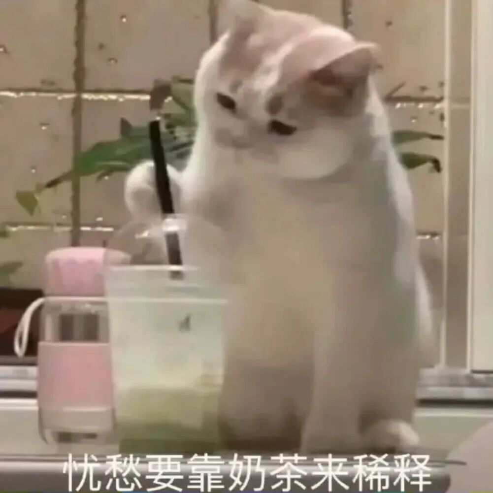 E句话 | 炎亚纶告网友全败诉