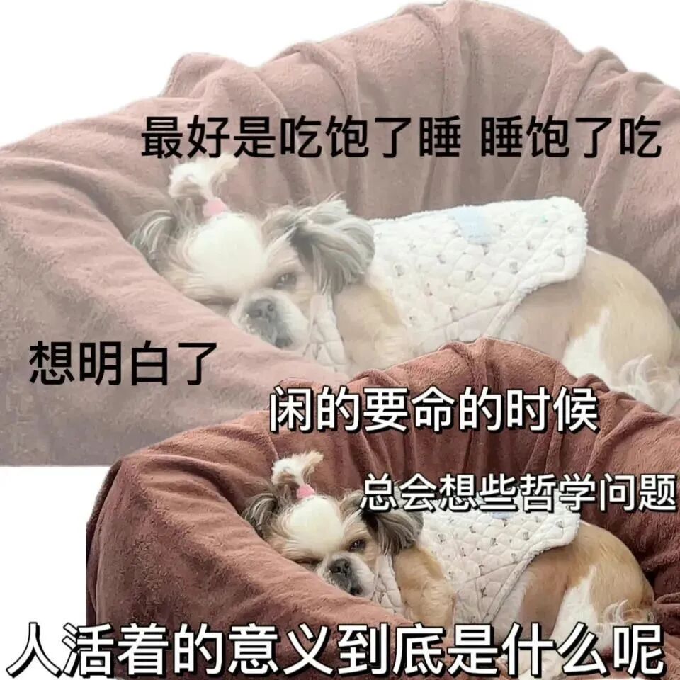 谢欣颖王柏杰官宣分手