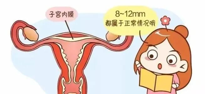 想早点移植？看看这几点你达标了吗？