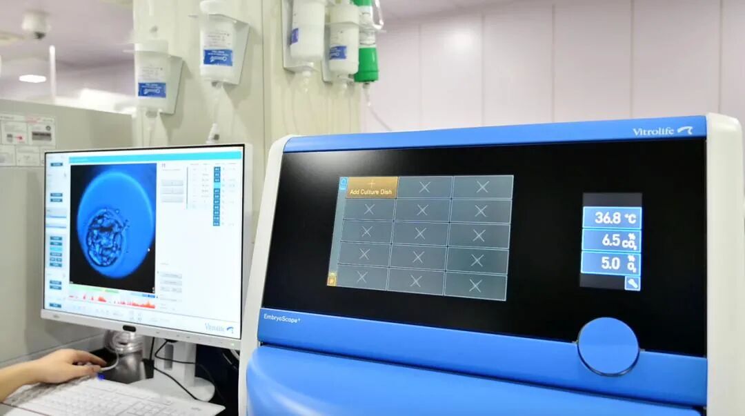 看脸的时代！快来看看胚胎界选美现场