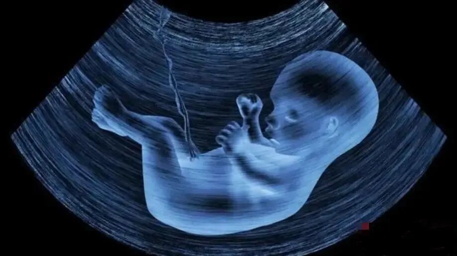 5+的高龄女性，即使有优质胚胎也不要直接移植！"