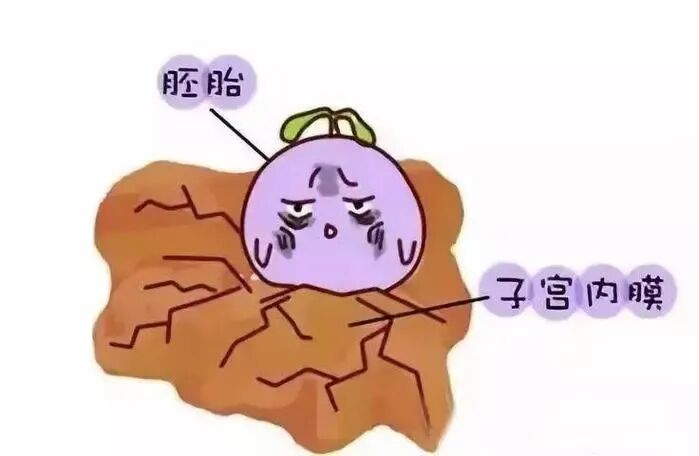 子宫内膜容受性分析对反复移植失败有没有用？