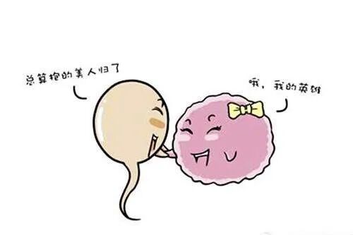 高龄女性，试管婴儿要做多少次才能成功？