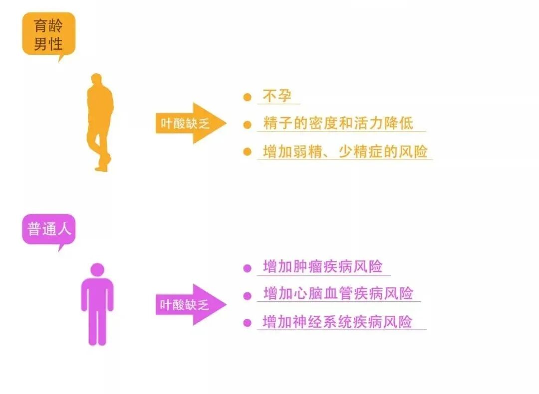 试管助孕前如何吃叶酸？这篇文章干货满满