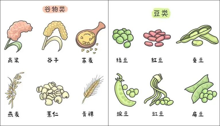 想养出又大又圆的卵子，这4种食物要多吃！