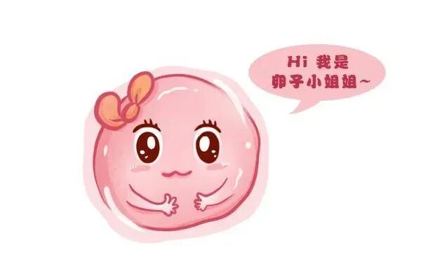 想养出又大又圆的卵子，这4种食物要多吃！