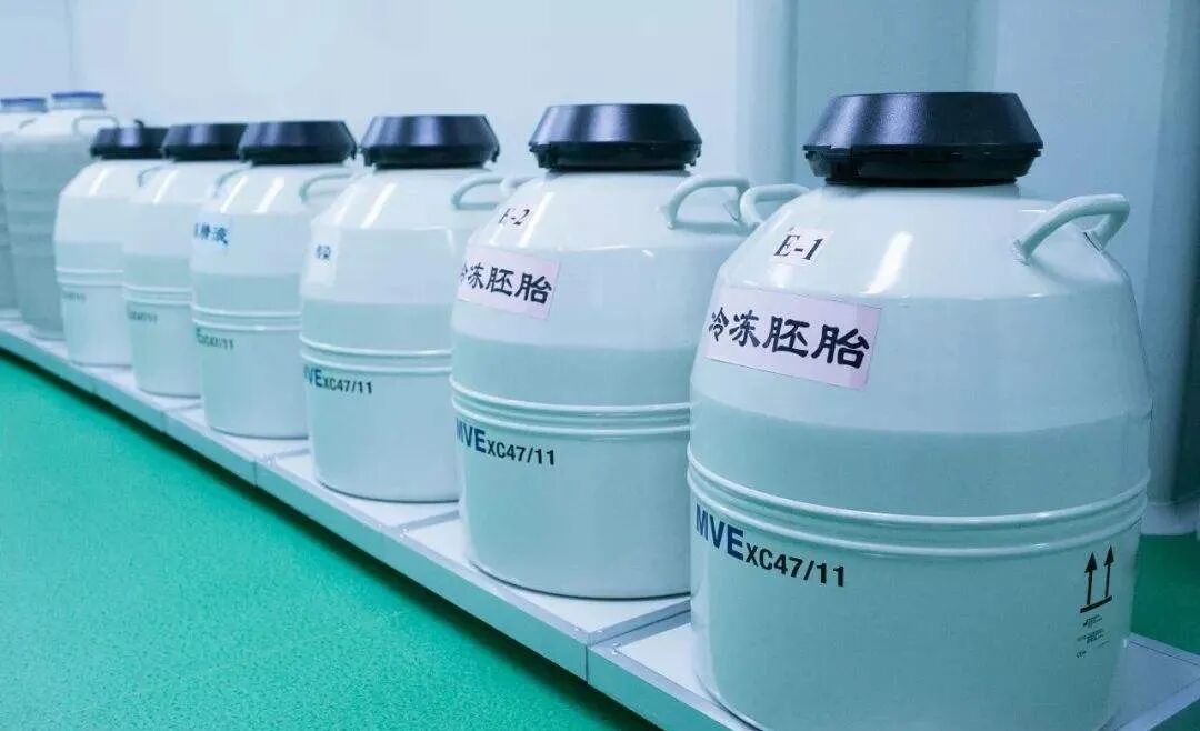 改掉这个习惯，试管成功率直线上升！