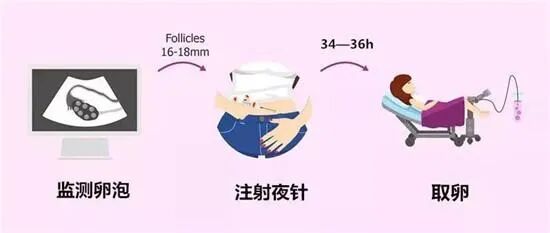 做试管取到空卵泡，究竟是谁的错 ?