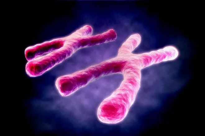 胚染异常逃不过这五个因素，看看你中了没！