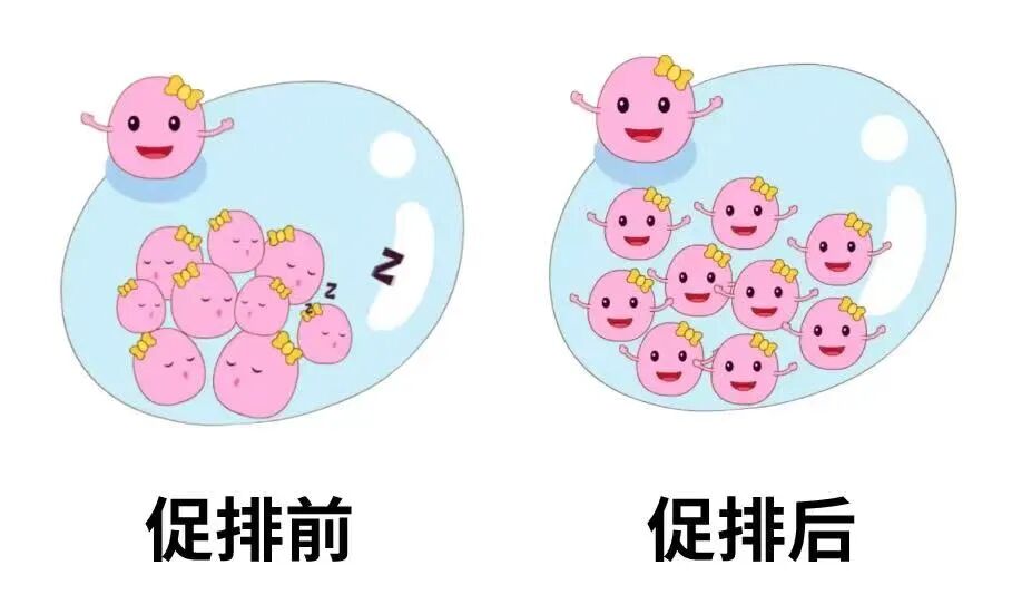 想要双胞胎？先看看你是否属于这3类人群！