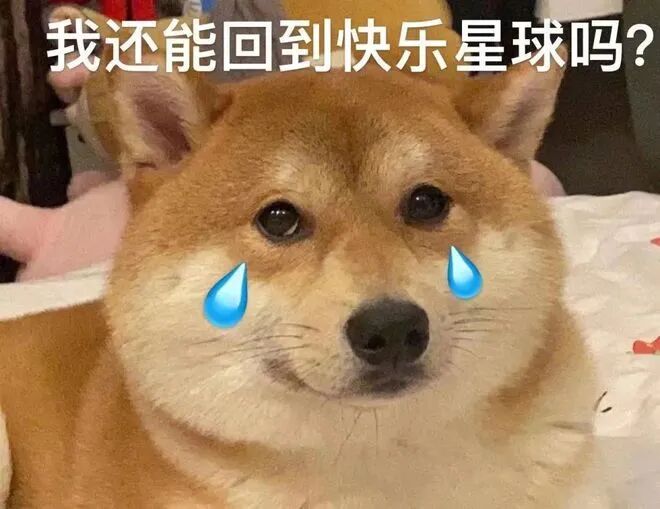 多囊难孕易流产，这六大关键点很重要！