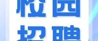 华特迪尔26招聘