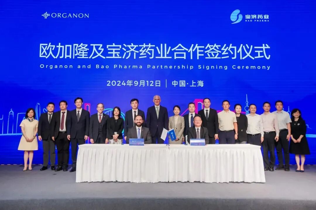 港股打新｜宝济药业-B：下一只翻倍-B票