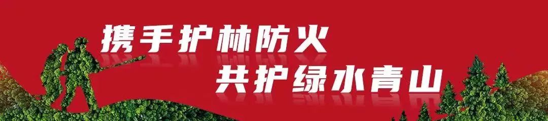 2024年09月04日 永胜天气