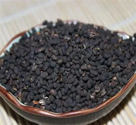 补骨脂的图片,补骨脂图片大全_中华康网