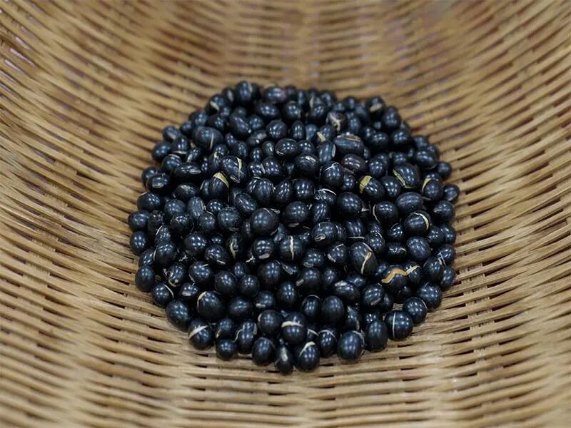 黑豆 - 药材图谱 - 中华药典－国医小镇