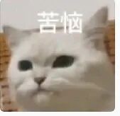 IB,IB生物,IB生物培训