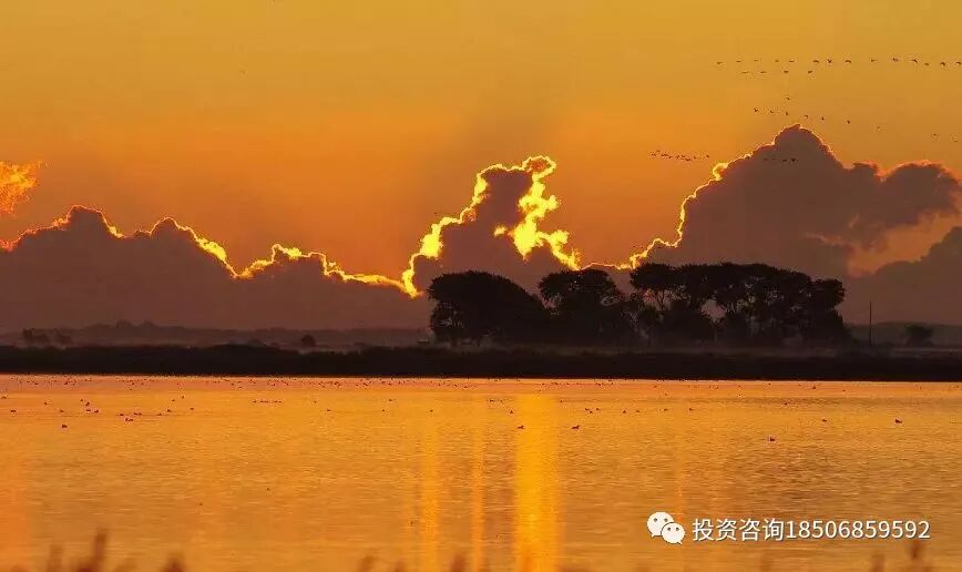 图片[1]-期货不需要高深技术，但对人格的要求很高…-明慧期货培训网，学习联系：15217215251