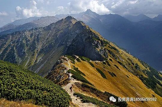 同一期货分析结论，为什么有人赚到钱，有人却赚不到？-明慧期货培训网，学习联系：15217215251