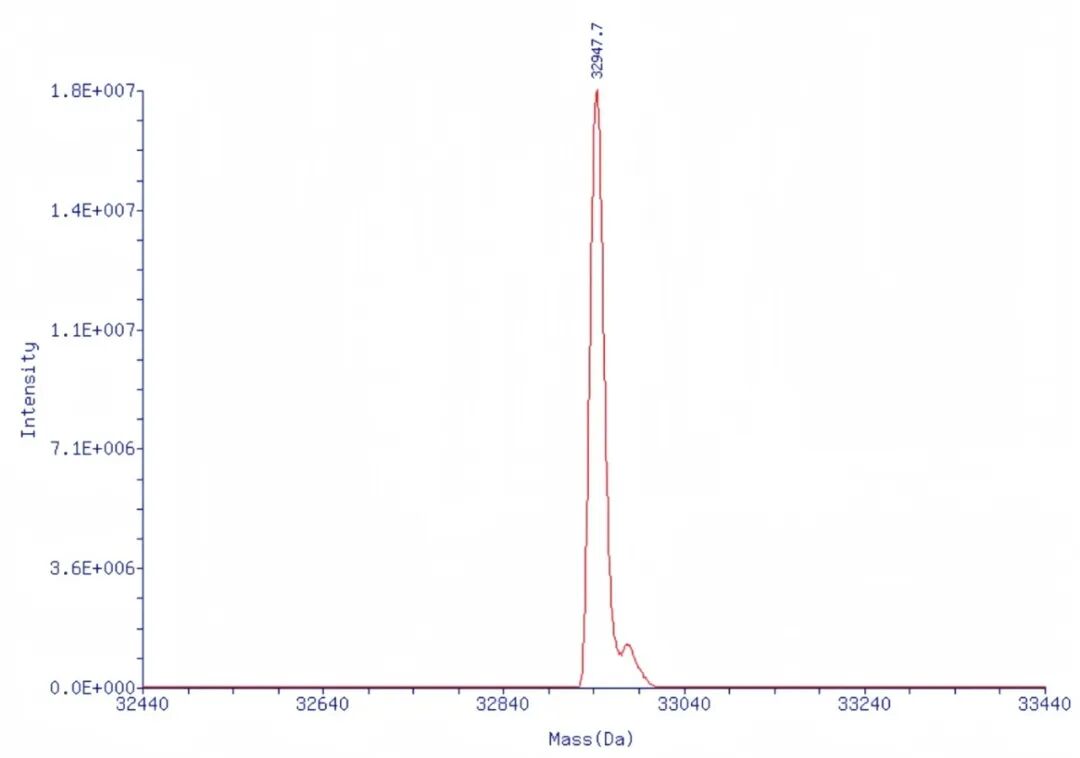 德奥平定制化学合成sgRNA