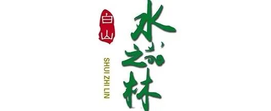 助农直播：共绘乡村振兴新画卷