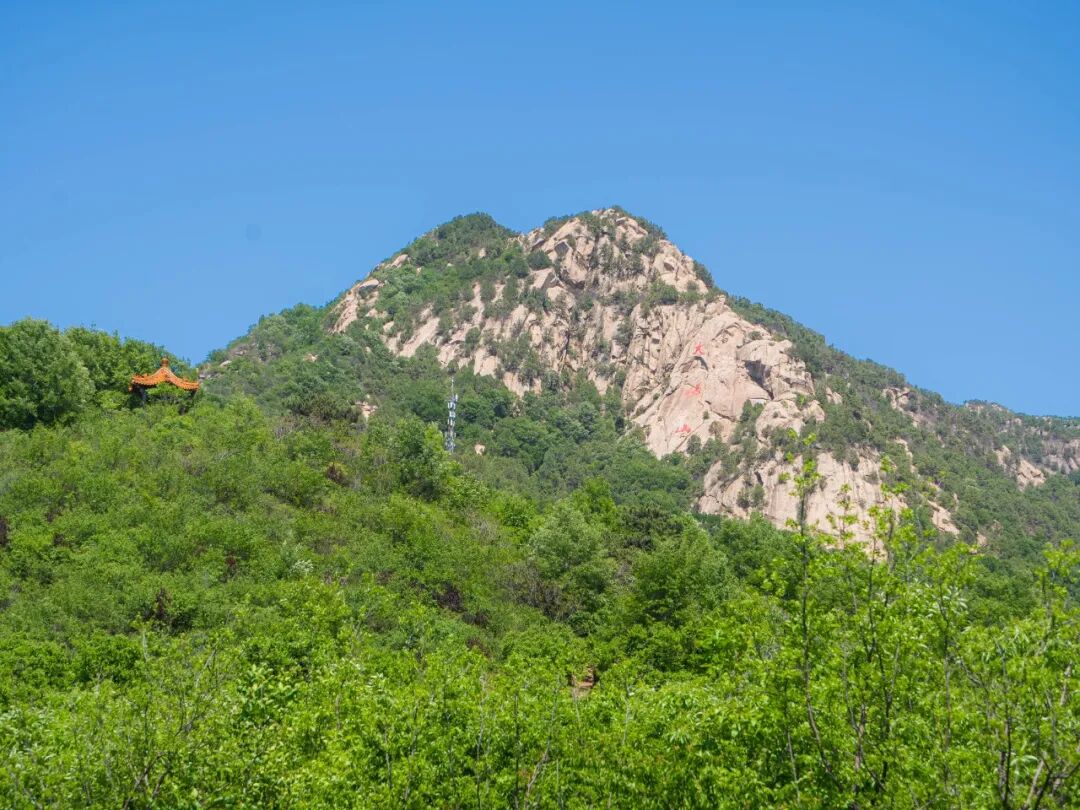 当高考遇见延寿,"打开"美好生态之旅