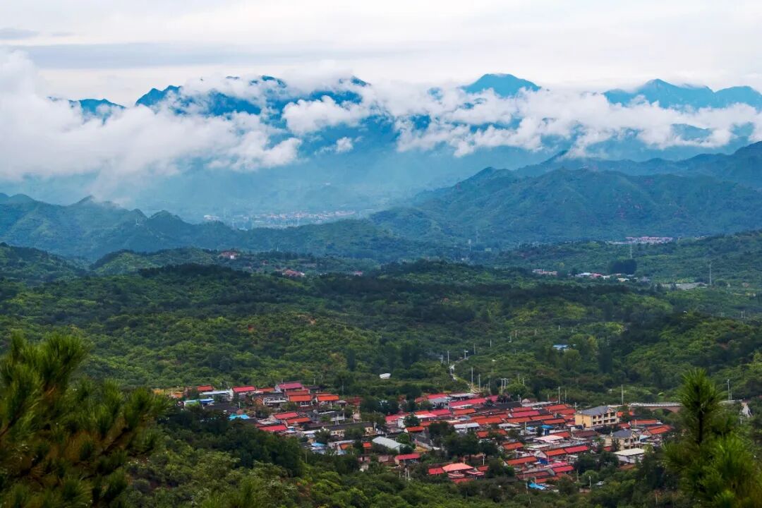 当高考遇见延寿,"打开"美好生态之旅