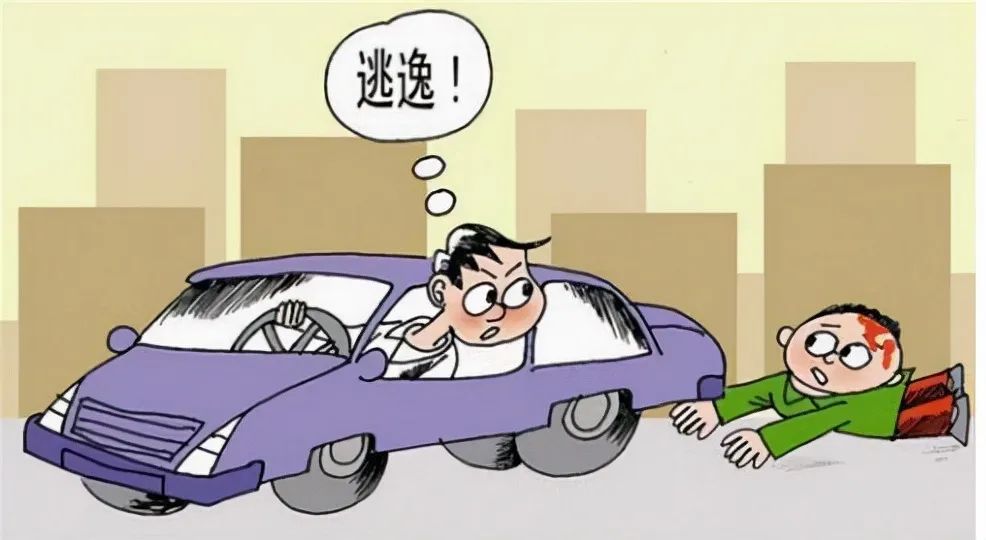 河南交通事故司机逃逸