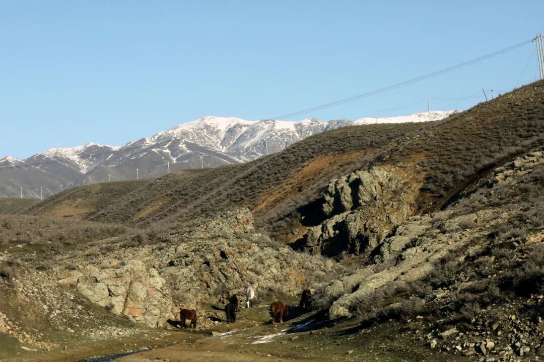 每日一景塔尔巴哈台山初冬景如画