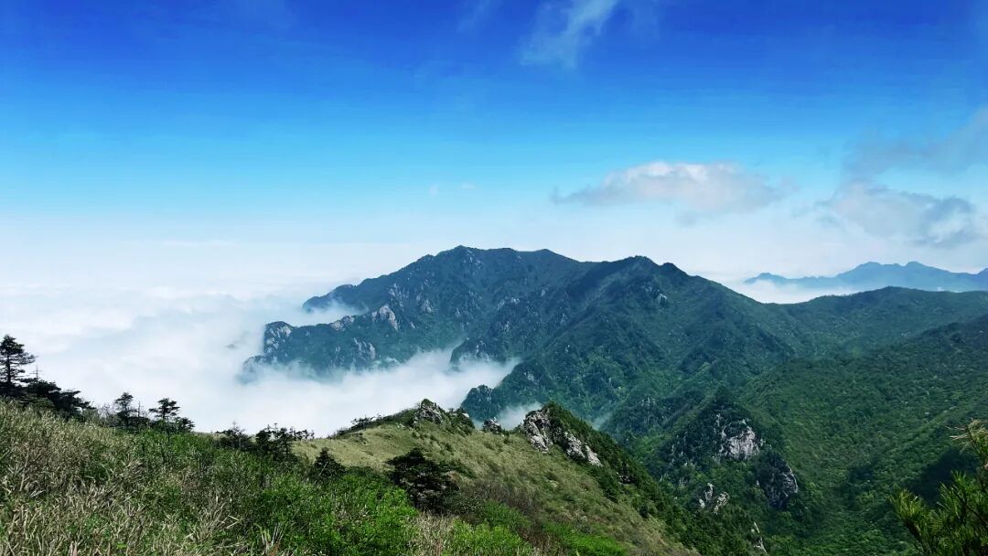 5月21日 陈兴村登顶终南山主峰赏杜鹃/胭脂花/大草甸 - 西安户外活动