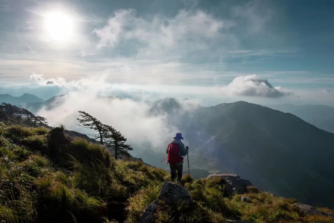 万仞高山图片