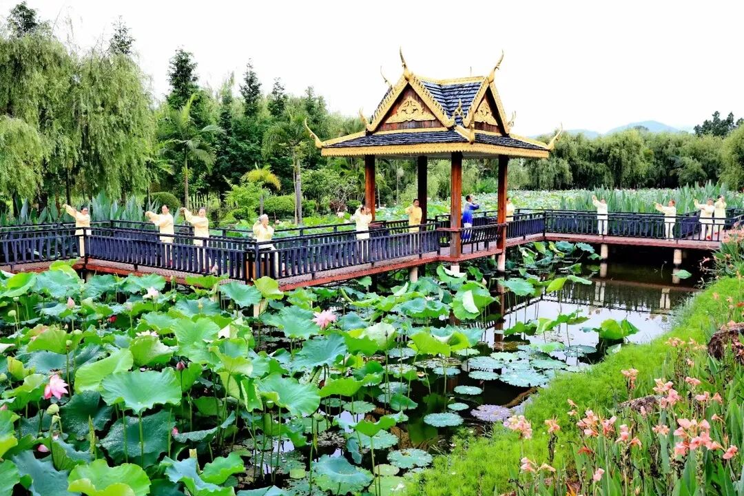 普洱孟连生态铺就县城绿美底色