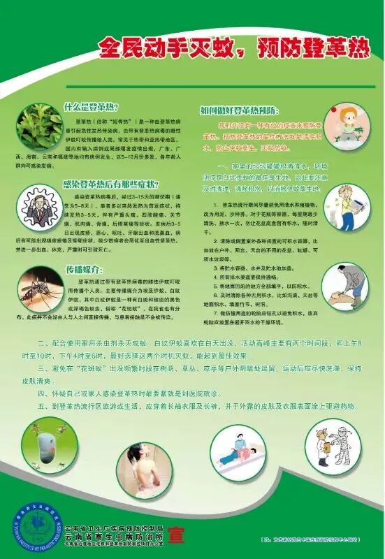 海报全民齐动手预防登革热