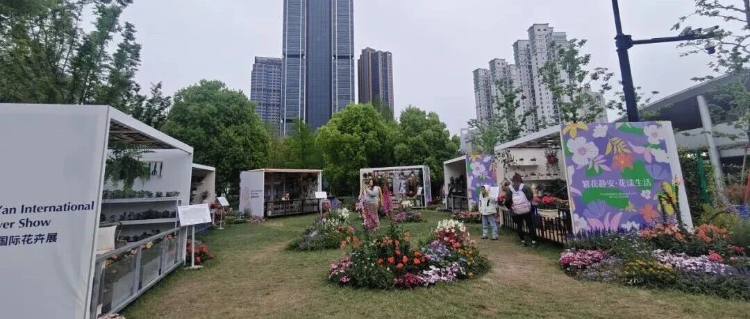 上海窗阳台绿化活动30强出炉