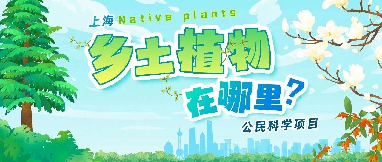直播预告：探索浦东滨江乡土植物