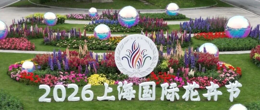2026上海国际花卉节氛围布置区
