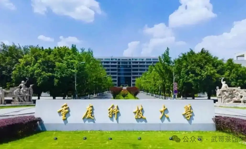 湖南工业大学湖南录取分数_湖南工业今年录取分数线_2024年湖南工业大学科技学院录取分数线(2024各省份录取分数线及位次排名)