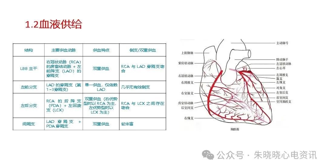 左束支阻滞再认识，实在太全了！