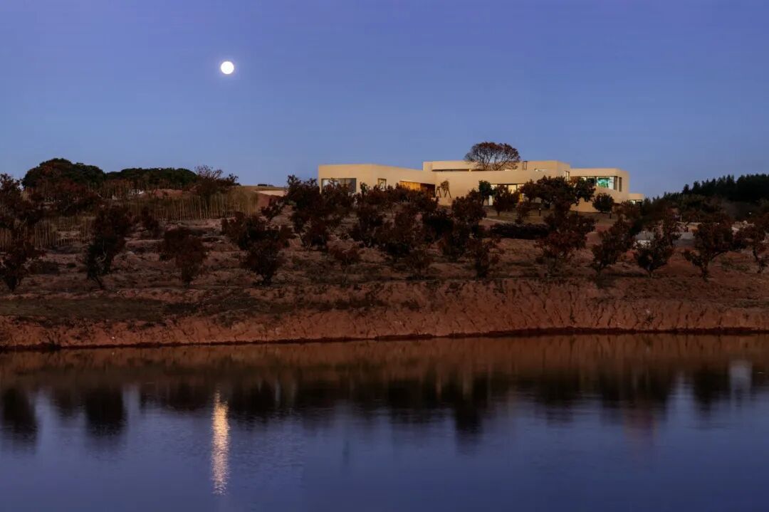 诗莉莉冬日图册冬天允许思绪一片空白