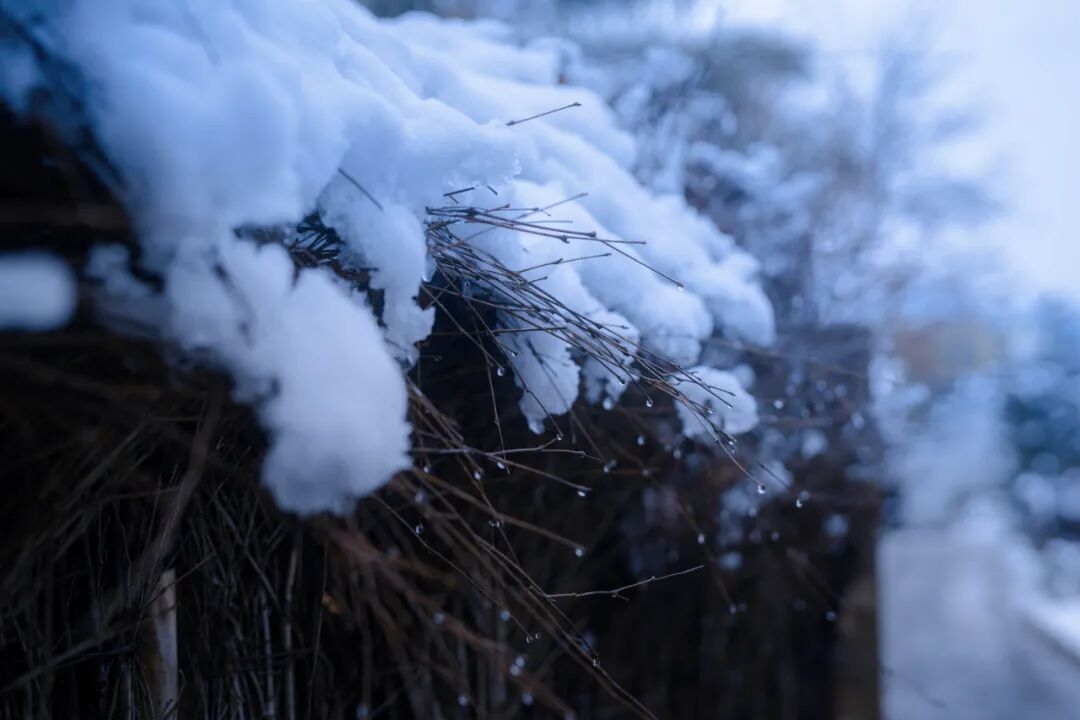 诗莉莉冬日图册冬天允许思绪一片空白