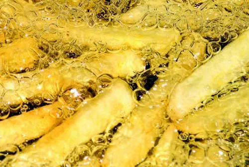 FT-NIR光谱仪帮助监测煎炸油和油炸食品的质量 FT-NIR光谱仪帮助监测煎炸油和油炸食品的质量