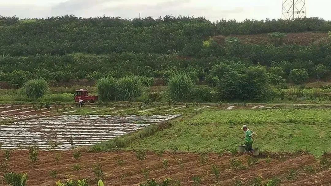 汽油队成员