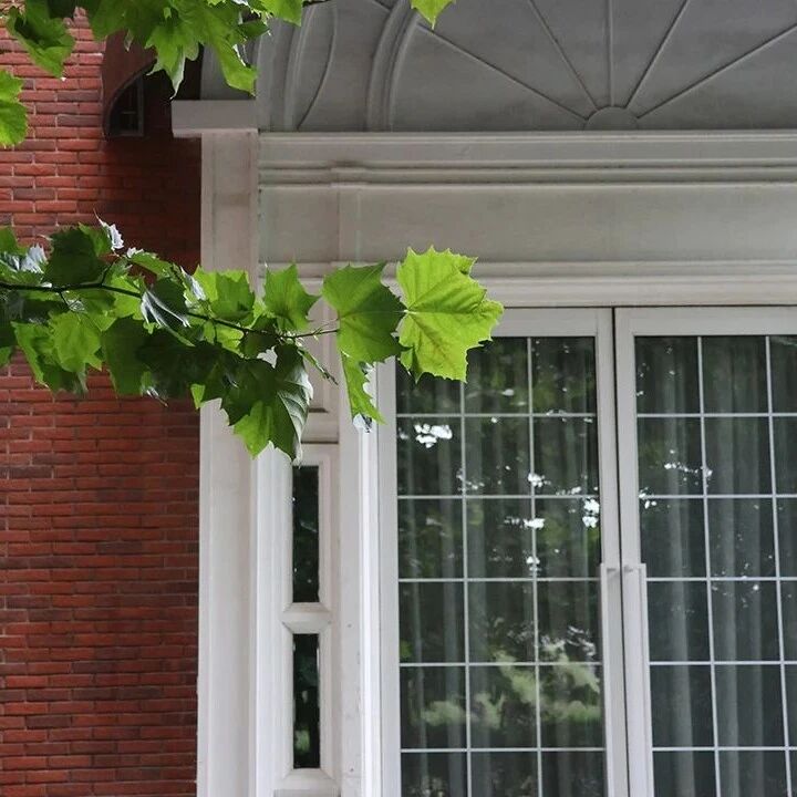 【青春语文·李高英专栏】应景式课堂教学内容的生成