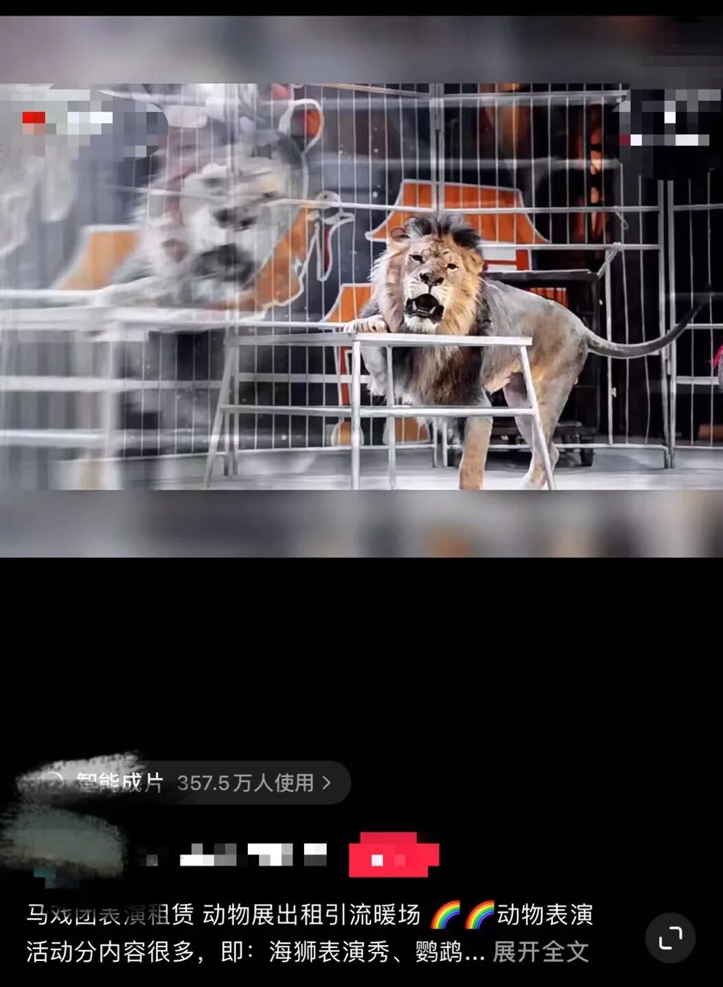 租借老虎,究竟是一门什么生意?